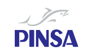 PINSA